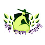 Gach pagol bangali