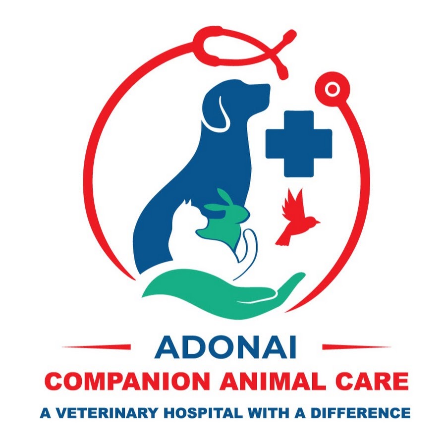 Adonai Companion Animal Care - YouTube