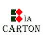 Bìa Carton