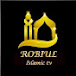 Robiul islamic tv