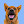 WinnietheCattleDog avatar