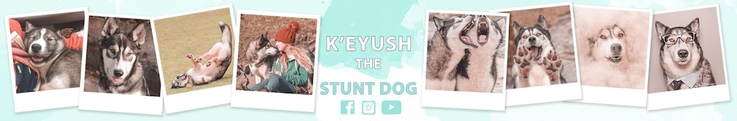 K'eyush The Stunt Dog Banner
