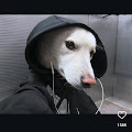 Artist Thumbnail
