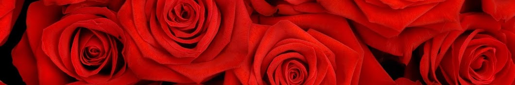 The Red Roses