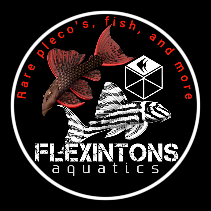 Flexintons Aquatics