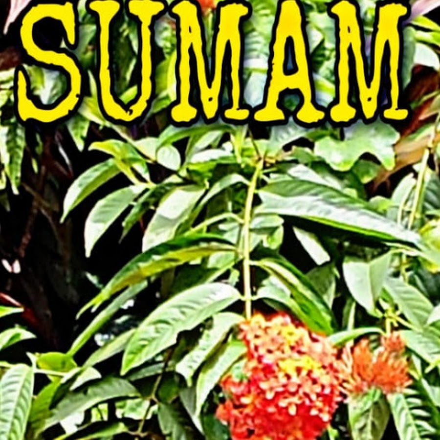 Sumam store