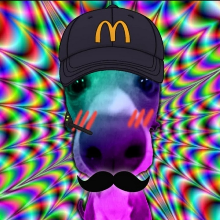 Dz s world youtube