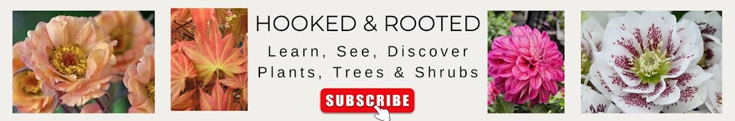 Hooked and Rooted Banner