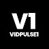 logo Vidpulse1