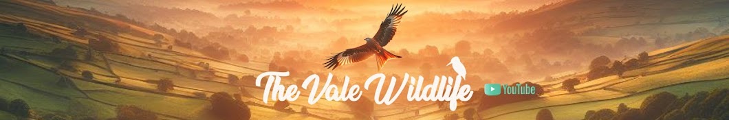 ~THE VALE WILDLIFE ~