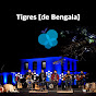 Tigres de Bengala - Topic