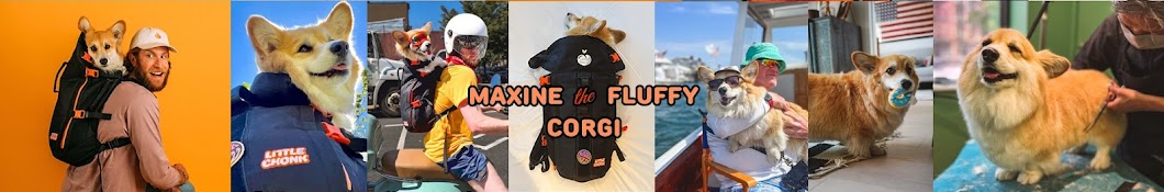 Maxine the Fluffy Corgi Banner