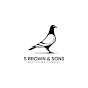 S&S Brown Racing Pigeons