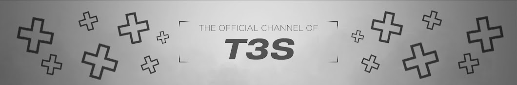 T3S