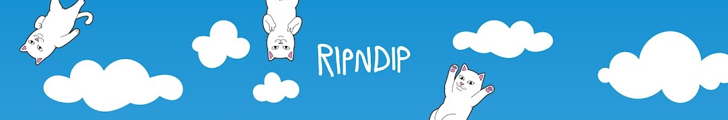 RIPNDIP Banner