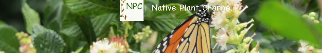 Native Plant Channel Banner