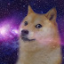 GalaxyDogeGamez