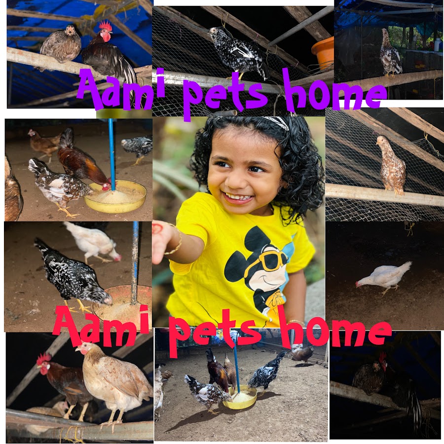 Aami pets home