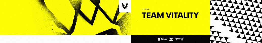 Team Vitality India Banner