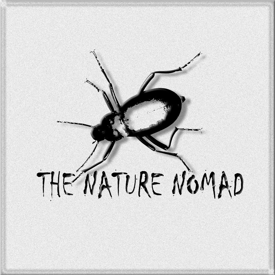 The Nature Nomad