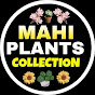 Mahi Plants Collection