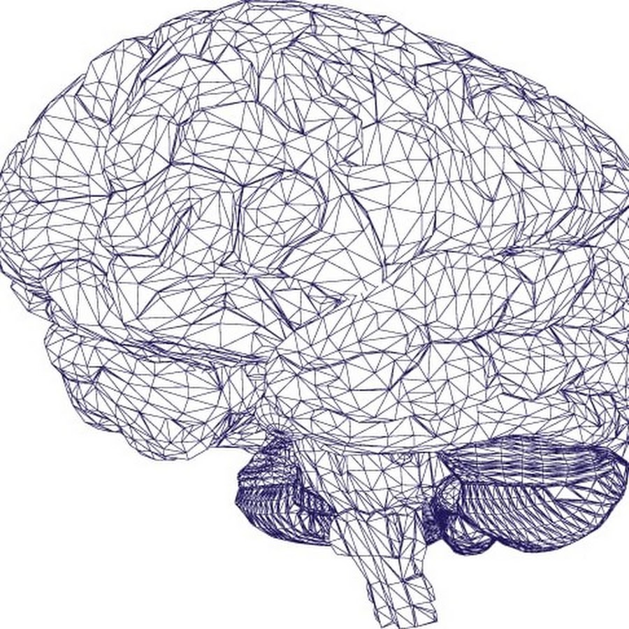 Мозг человека из бумаги