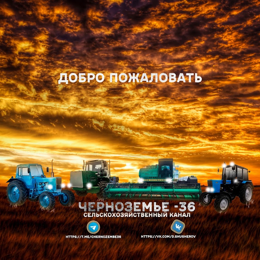 Черноземье 36