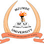 Official Mzumbe University