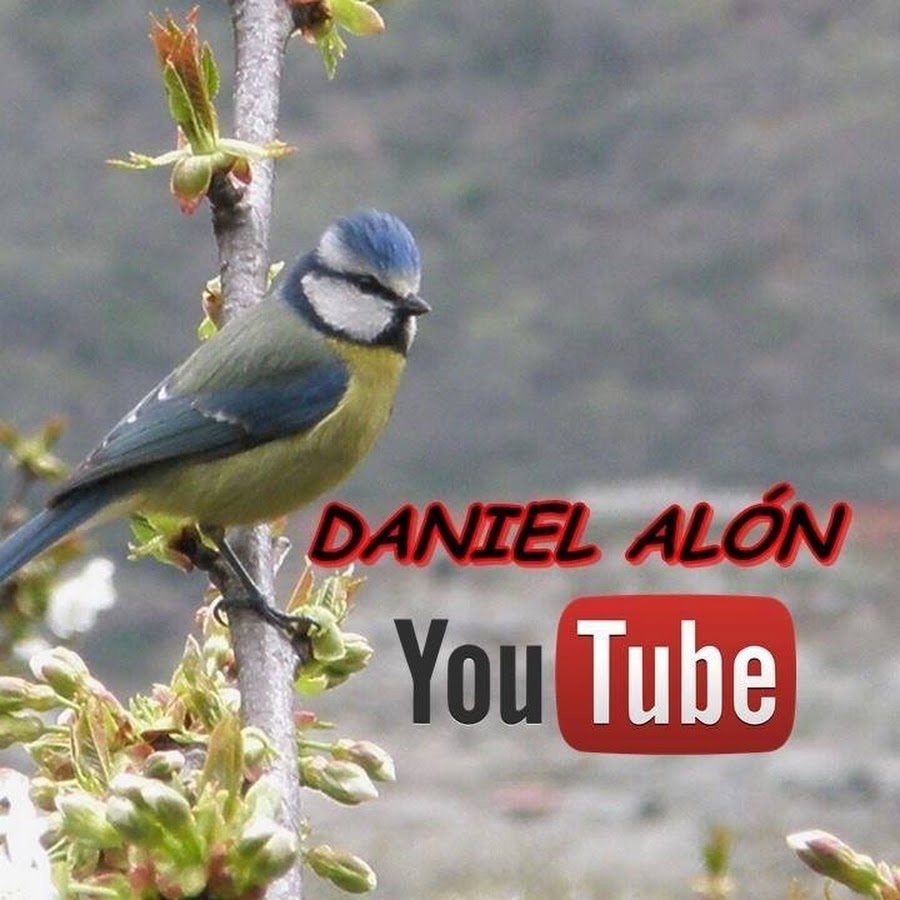 Daniel Alon.Videos educativos y entretenidos. @Danielalon