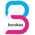 logo Borokini