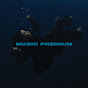 MVFX I Music Premium