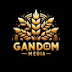 GANDOM MEDIA 