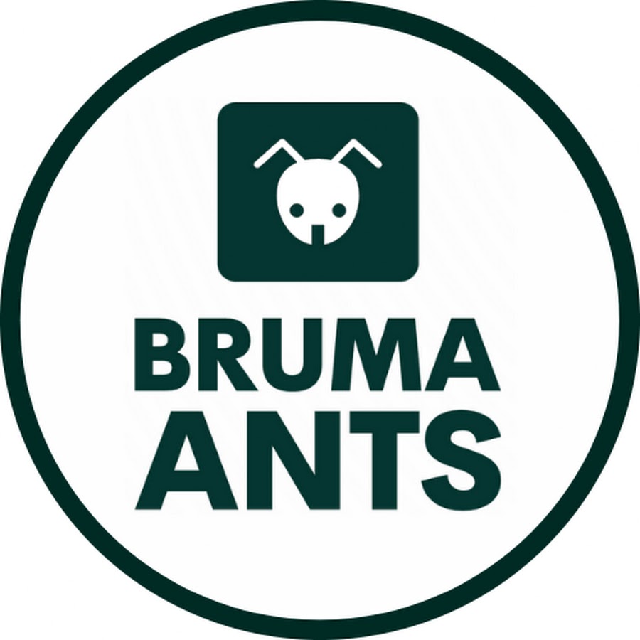 BRUMA Ants