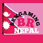 BRX GAMING NEPAL