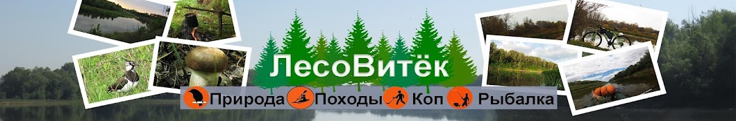 ЛесоВитёк