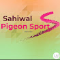 Sahiwal Pigeon Sports