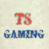 logo TS.GAMING