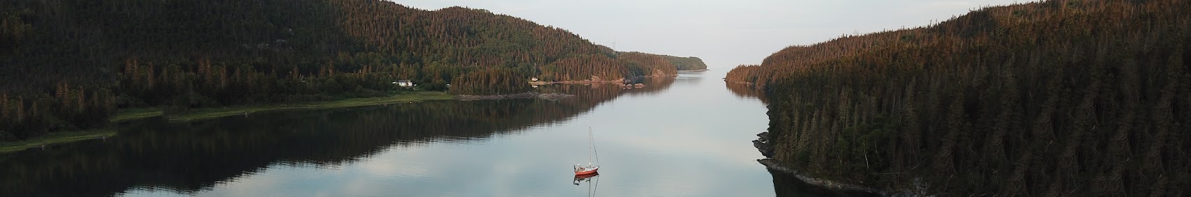 levoilierorange197