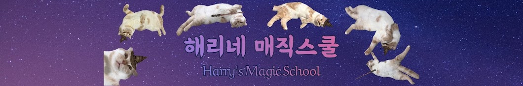 고양이 해리네 CAT HARRY