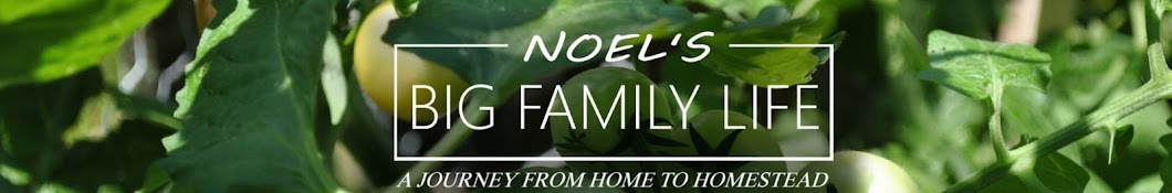 Noel's BIG Family Life Banner