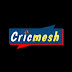 logo Cricmesh