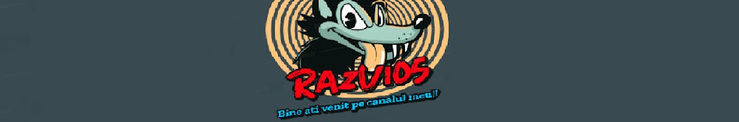 Razvi05