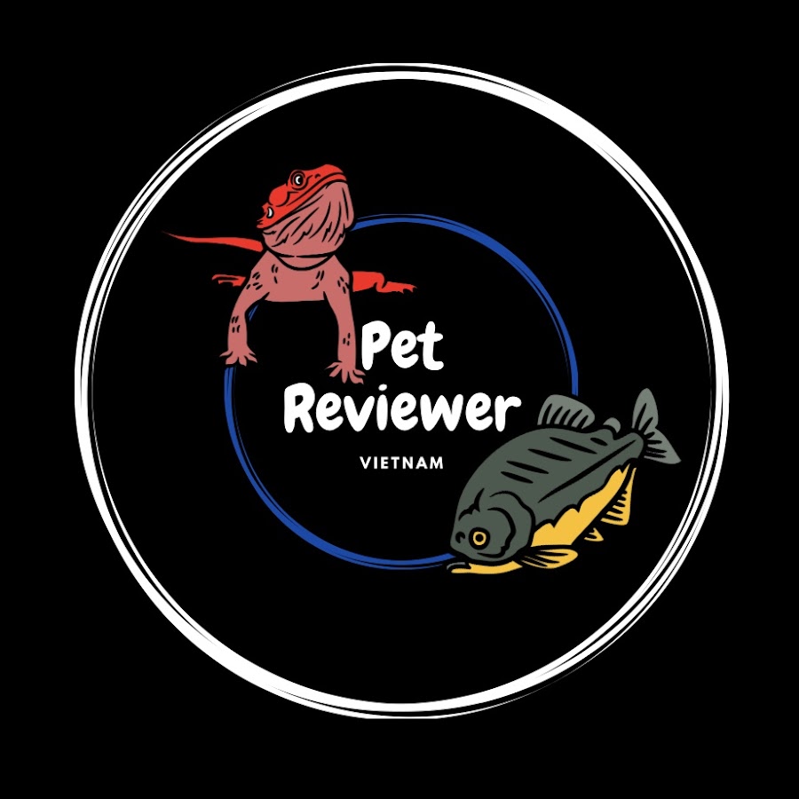 PET REVIEWER VIỆT NAM