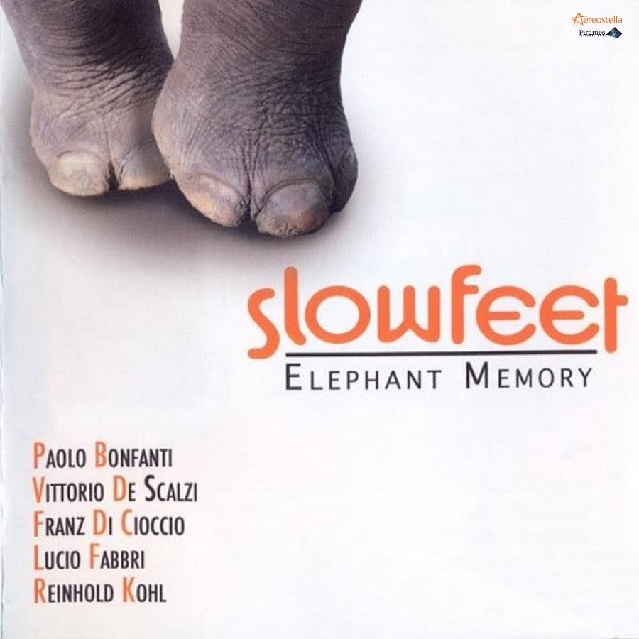 Слушать feet. Элефантс Мемори. Группа Elephants Memory. Elephant's Memory CD. Элефант Мемори группа фото.