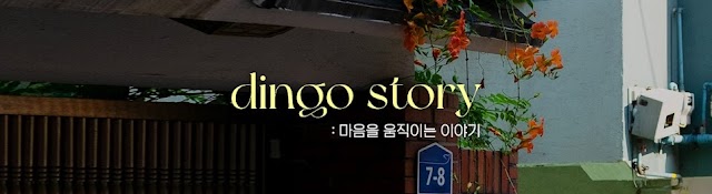 딩고 스토리 / dingo story