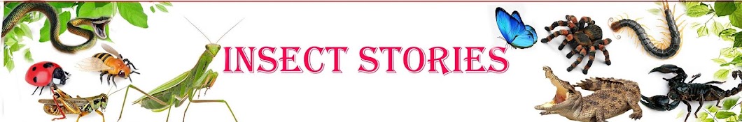 Insect Stories Banner