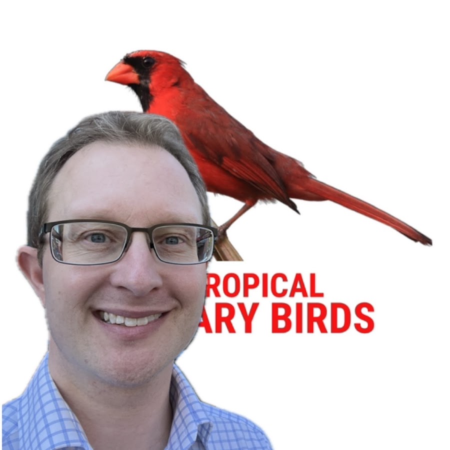 Tropical Aviary Birds - Torben Dehlholm @TropicalAviaryBirds