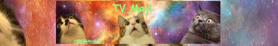 TV МЯУ!