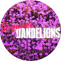 summer dandelions