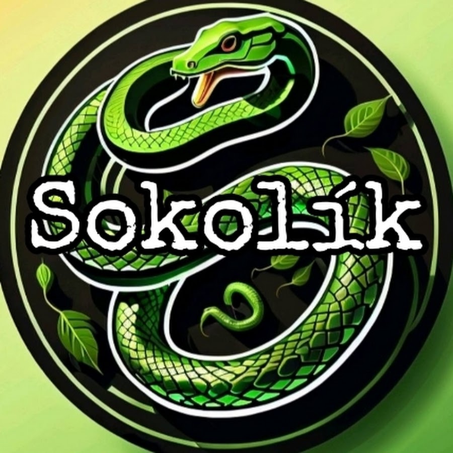 SOKOLÍK @thesokolik5291